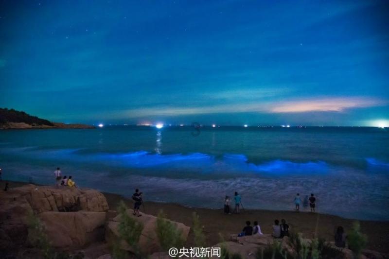 俄罗斯加里宁格勒州将借助北方海路巩固对华贸易