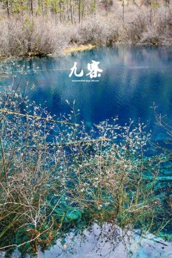 轩辕剑外传云之遥