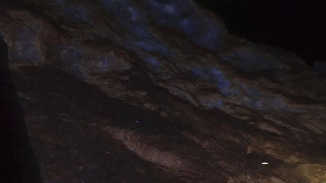 bella发文纪念高以翔，她在聚会上挤出微笑，眼神迷离憔悴难掩