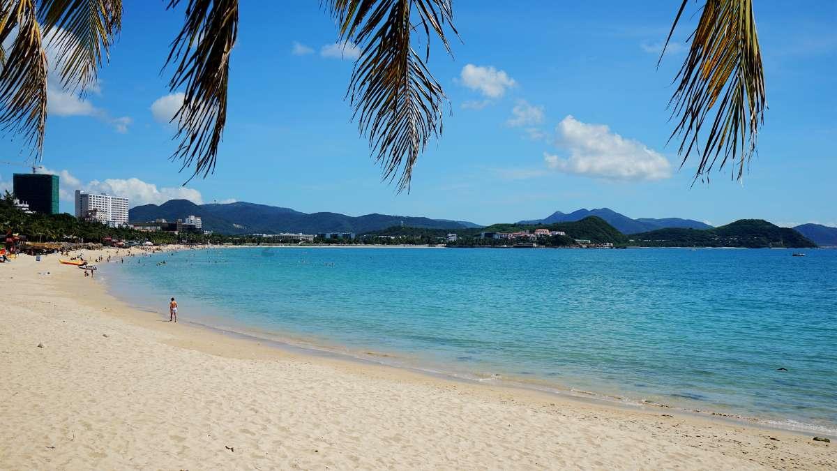 揭秘魔魂装备：传奇霸主与人道大圣的必备之选