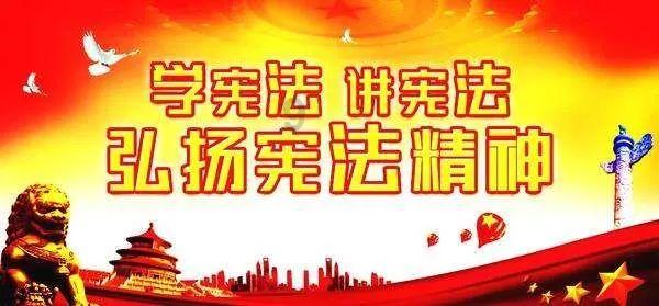 组装机械章鱼龙