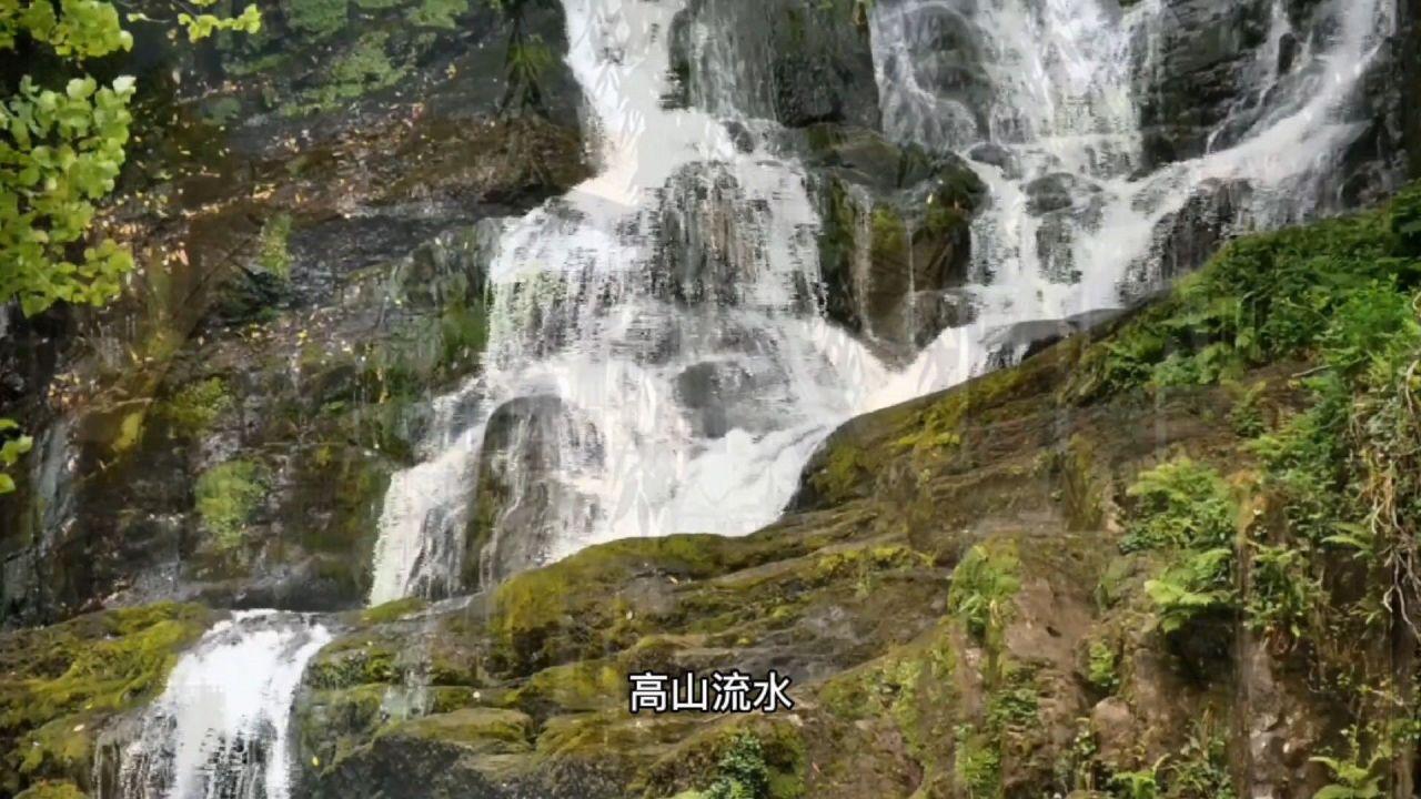 逃离世界杯现场