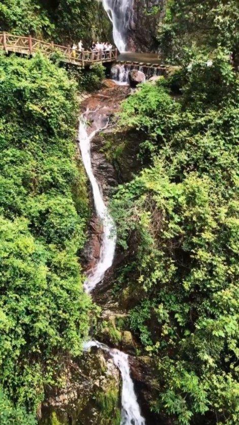 冰淇淋的诱惑