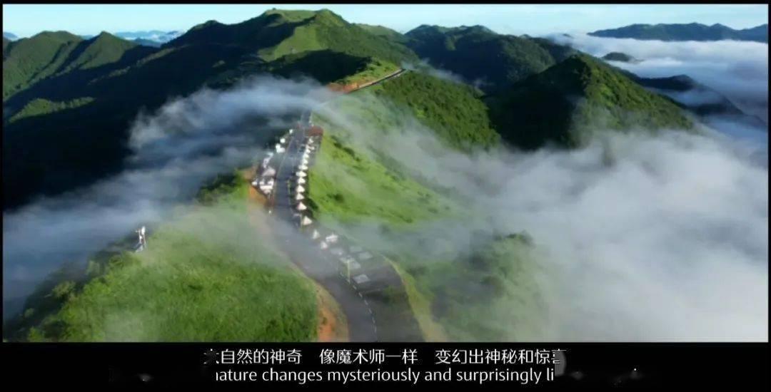 探索银鳕鱼怎么做才好吃的知识星球平台,获取一站式深度学习经验分享