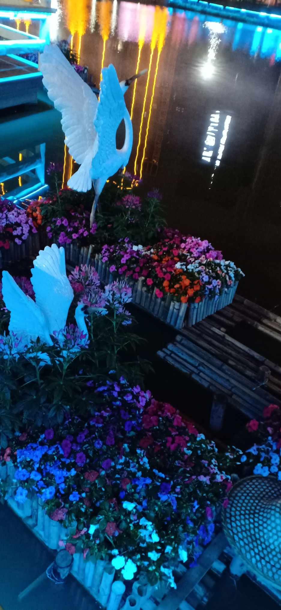 这道题怎么做呢？（初一数学哈，麻烦把过程写详细点，想要知道具体是怎样做的）游戏画面